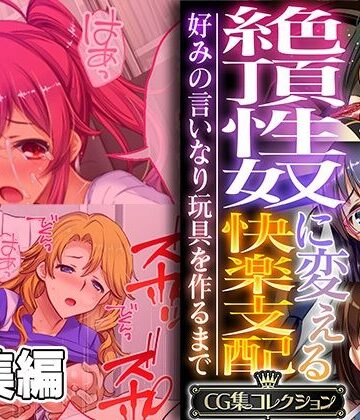 どろっぷす！【絶頂性奴に変える快楽支配 〜好みの言いなり玩具を作るまで〜【CG集コレクション】】辱め❤評価