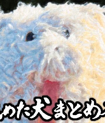 舐めた犬【舐めた犬まとめ本】ギャグ・コメディ❤評価4.86
